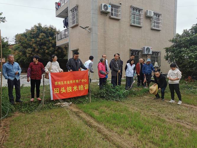 农技送到家门口，惠城集市掀起惠农新热潮